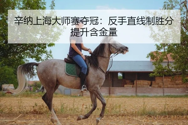 辛纳上海大师赛夺冠：反手直线制胜分提升含金量